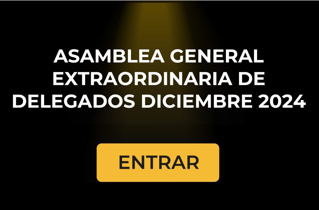 Asamblea General Extraordinaria Delegados Diciembre 2024