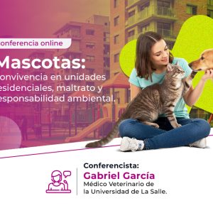 MASCOTAS
