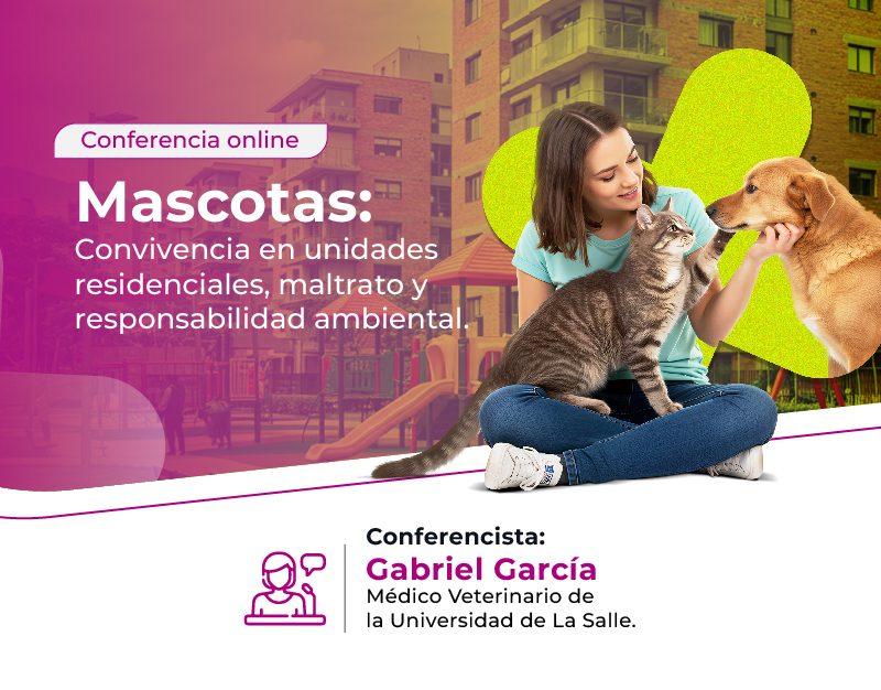 MASCOTAS